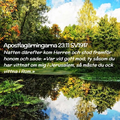 Picture 02 - Apostlagärningarna 23:11 SV1917 - Natten därefter kom Herren och stod framför - Bible Verse Picture