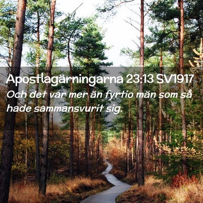 Picture 02 - Apostlagärningarna 23:13 SV1917 - Och det var mer än fyrtio män som så hade - Bible Verse Picture