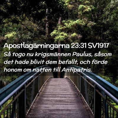 Picture 02 - Apostlagärningarna 23:31 SV1917 - Så togo nu krigsmännen Paulus, såsom det hade - Bible Verse Picture