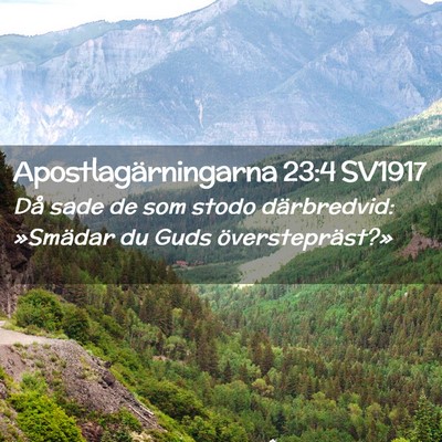 Picture 02 - Apostlagärningarna 23:4 SV1917 - Då sade de som stodo därbredvid: »Smädar du - Bible Verse Picture