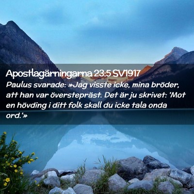 Picture 02 - Apostlagärningarna 23:5 SV1917 - Paulus svarade: »Jag visste icke, mina bröder, - Bible Verse Picture