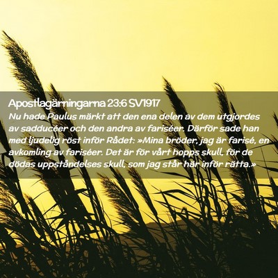 Picture 02 - Apostlagärningarna 23:6 SV1917 - Nu hade Paulus märkt att den ena delen av dem - Bible Verse Picture