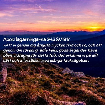 Picture 02 - Apostlagärningarna 24:3 SV1917 - »Att vi genom dig åtnjuta mycken frid och ro, - Bible Verse Picture
