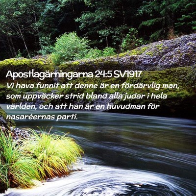 Picture 02 - Apostlagärningarna 24:5 SV1917 - Vi hava funnit att denne är en fördärvlig man, - Bible Verse Picture