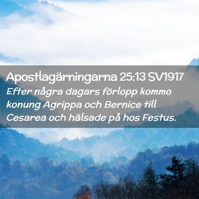 Picture 02 - Apostlagärningarna 25:13 SV1917 - Efter några dagars förlopp kommo konung Agrippa - Bible Verse Picture