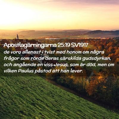 Picture 02 - Apostlagärningarna 25:19 SV1917 - de voro allenast i tvist med honom om några - Bible Verse Picture