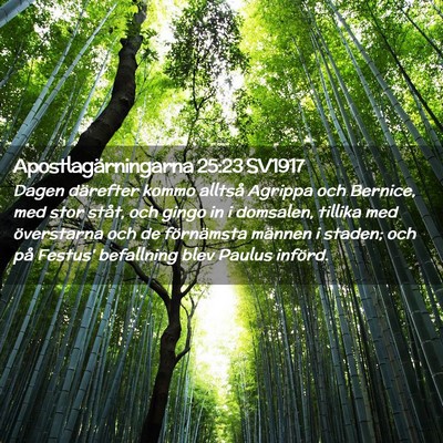 Picture 02 - Apostlagärningarna 25:23 SV1917 - Dagen därefter kommo alltså Agrippa och - Bible Verse Picture