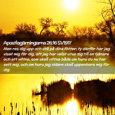 Picture 02 - Apostlagärningarna 26:16 SV1917 - Men res dig upp och stå på dina fötter; ty - Bible Verse Picture
