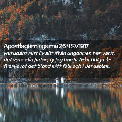 Picture 02 - Apostlagärningarna 26:4 SV1917 - Hurudant mitt liv allt ifrån ungdomen har varit, - Bible Verse Picture