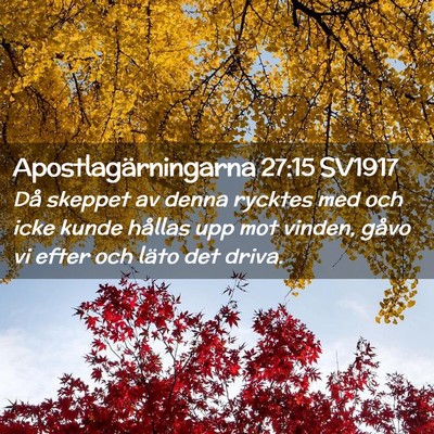 Picture 02 - Apostlagärningarna 27:15 SV1917 - Då skeppet av denna rycktes med och icke kunde - Bible Verse Picture