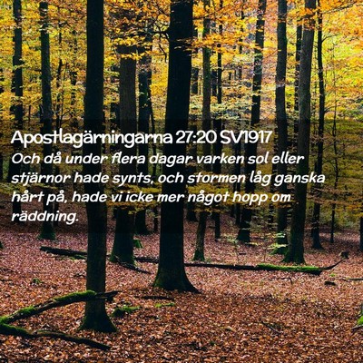 Picture 02 - Apostlagärningarna 27:20 SV1917 - Och då under flera dagar varken sol eller - Bible Verse Picture
