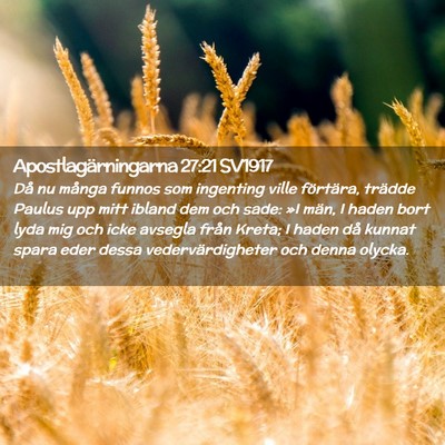 Picture 02 - Apostlagärningarna 27:21 SV1917 - Då nu många funnos som ingenting ville - Bible Verse Picture