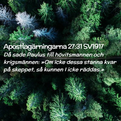 Picture 02 - Apostlagärningarna 27:31 SV1917 - Då sade Paulus till hövitsmannen och - Bible Verse Picture