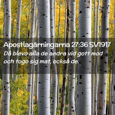 Picture 02 - Apostlagärningarna 27:36 SV1917 - Då blevo alla de andra vid gott mod och togo sig - Bible Verse Picture
