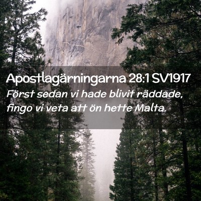 Picture 02 - Apostlagärningarna 28:1 SV1917 - Först sedan vi hade blivit räddade, fingo vi - Bible Verse Picture