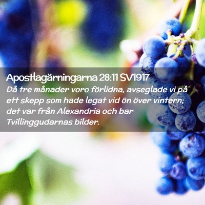 Picture 02 - Apostlagärningarna 28:11 SV1917 - Då tre månader voro förlidna, avseglade vi på - Bible Verse Picture