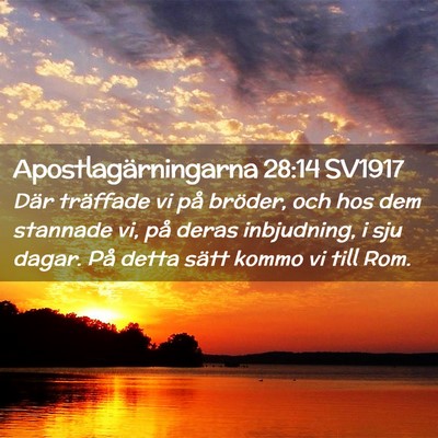 Picture 02 - Apostlagärningarna 28:14 SV1917 - Där träffade vi på bröder, och hos dem - Bible Verse Picture