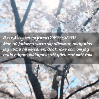 Picture 02 - Apostlagärningarna 28:19 SV1917 - Men då judarna satte sig däremot, nödgades jag - Bible Verse Picture