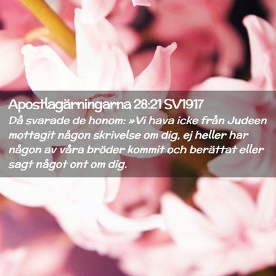 Picture 02 - Apostlagärningarna 28:21 SV1917 - Då svarade de honom: »Vi hava icke från Judeen - Bible Verse Picture