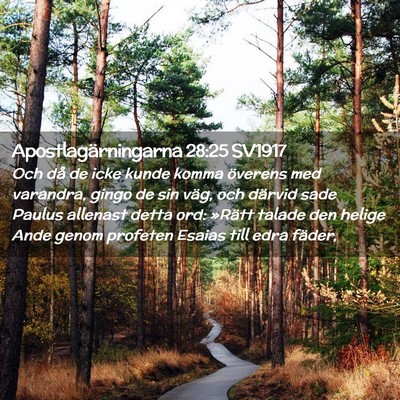 Picture 02 - Apostlagärningarna 28:25 SV1917 - Och då de icke kunde komma överens med - Bible Verse Picture