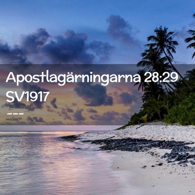 Picture 02 - Apostlagärningarna 28:29 SV1917 -  - Bible Verse Picture