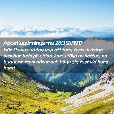 Picture 02 - Apostlagärningarna 28:3 SV1917 - När Paulus då tog upp ett fång torra kvistar - Bible Verse Picture