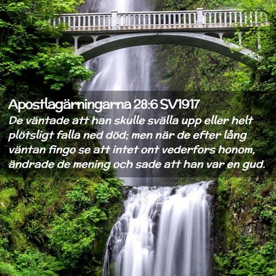Picture 02 - Apostlagärningarna 28:6 SV1917 - De väntade att han skulle svälla upp eller helt - Bible Verse Picture