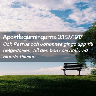 Picture 02 - Apostlagärningarna 3:1 SV1917 - Och Petrus och Johannes gingo upp till - Bible Verse Picture