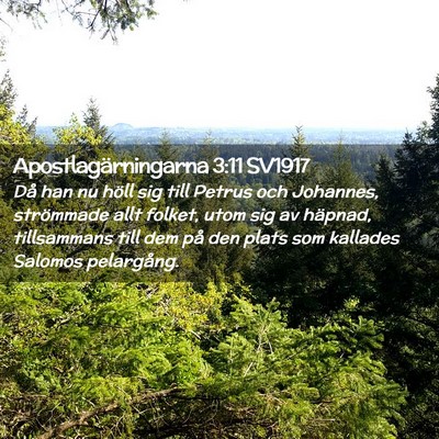 Picture 02 - Apostlagärningarna 3:11 SV1917 - Då han nu höll sig till Petrus och Johannes, - Bible Verse Picture