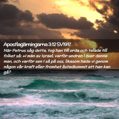 Picture 02 - Apostlagärningarna 3:12 SV1917 - När Petrus såg detta, tog han till orda och - Bible Verse Picture