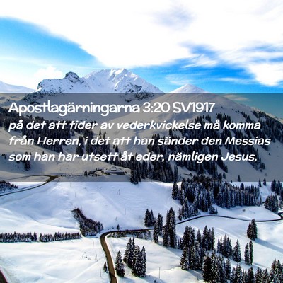 Picture 02 - Apostlagärningarna 3:20 SV1917 - på det att tider av vederkvickelse må komma - Bible Verse Picture