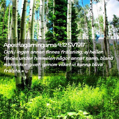 Picture 02 - Apostlagärningarna 4:12 SV1917 - Och i ingen annan finnes frälsning; ej heller - Bible Verse Picture