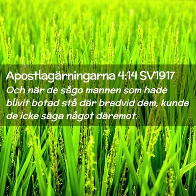 Picture 02 - Apostlagärningarna 4:14 SV1917 - Och när de sågo mannen som hade blivit botad - Bible Verse Picture
