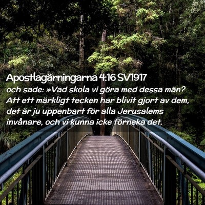 Picture 02 - Apostlagärningarna 4:16 SV1917 - och sade: »Vad skola vi göra med dessa män? - Bible Verse Picture