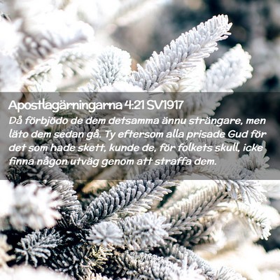 Picture 02 - Apostlagärningarna 4:21 SV1917 - Då förbjödo de dem detsamma ännu strängare, - Bible Verse Picture