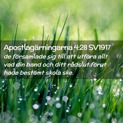 Picture 02 - Apostlagärningarna 4:28 SV1917 - de församlade sig till att utföra allt vad din - Bible Verse Picture