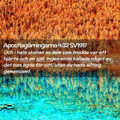 Picture 02 - Apostlagärningarna 4:32 SV1917 - Och i hela skaran av dem som trodde var ett - Bible Verse Picture
