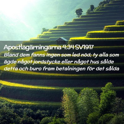 Picture 02 - Apostlagärningarna 4:34 SV1917 - Bland dem fanns ingen som led nöd; ty alla som - Bible Verse Picture