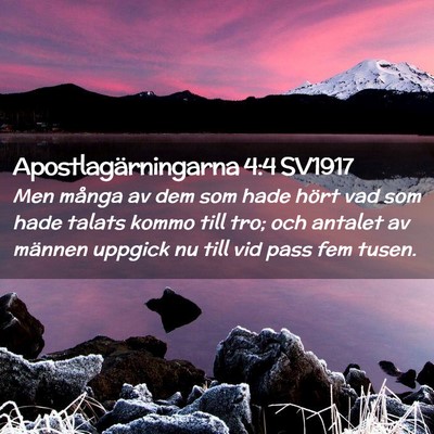 Picture 02 - Apostlagärningarna 4:4 SV1917 - Men många av dem som hade hört vad som hade - Bible Verse Picture