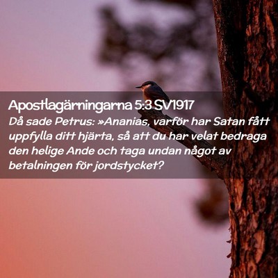 Picture 02 - Apostlagärningarna 5:3 SV1917 - Då sade Petrus: »Ananias, varför har Satan - Bible Verse Picture
