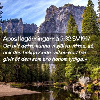 Picture 02 - Apostlagärningarna 5:32 SV1917 - Om allt detta kunna vi själva vittna, så ock - Bible Verse Picture