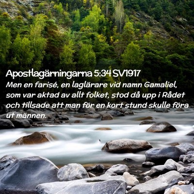 Picture 02 - Apostlagärningarna 5:34 SV1917 - Men en farisé, en laglärare vid namn Gamaliel, - Bible Verse Picture