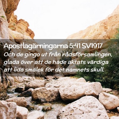 Picture 02 - Apostlagärningarna 5:41 SV1917 - Och de gingo ut från rådsförsamlingen, glada - Bible Verse Picture