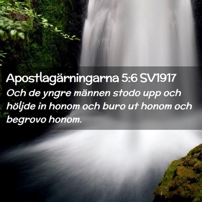 Picture 02 - Apostlagärningarna 5:6 SV1917 - Och de yngre männen stodo upp och höljde in - Bible Verse Picture