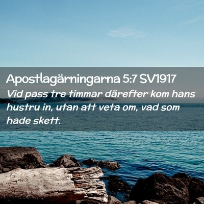 Picture 02 - Apostlagärningarna 5:7 SV1917 - Vid pass tre timmar därefter kom hans hustru in, - Bible Verse Picture