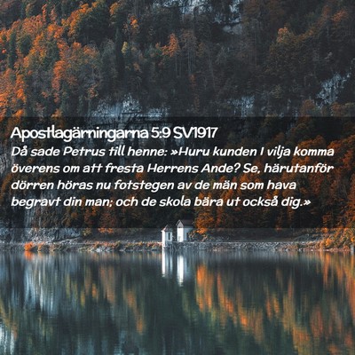 Picture 02 - Apostlagärningarna 5:9 SV1917 - Då sade Petrus till henne: »Huru kunden I vilja - Bible Verse Picture