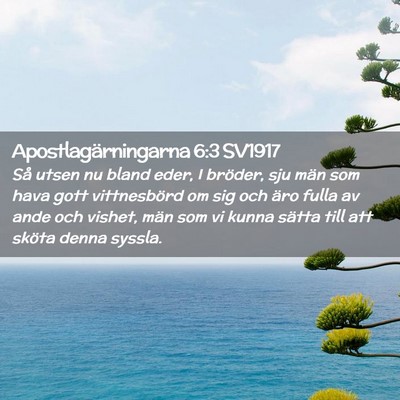 Picture 02 - Apostlagärningarna 6:3 SV1917 - Så utsen nu bland eder, I bröder, sju män som - Bible Verse Picture