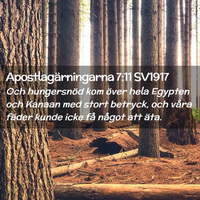 Picture 02 - Apostlagärningarna 7:11 SV1917 - Och hungersnöd kom över hela Egypten och Kanaan - Bible Verse Picture