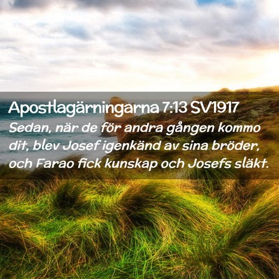 Picture 02 - Apostlagärningarna 7:13 SV1917 - Sedan, när de för andra gången kommo dit, blev - Bible Verse Picture