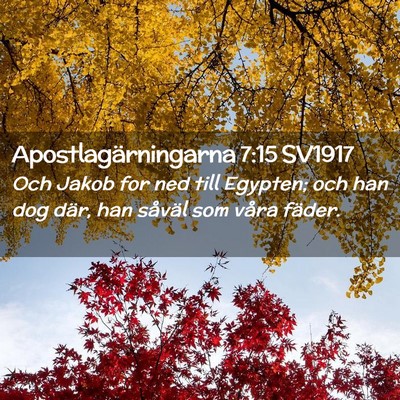 Picture 02 - Apostlagärningarna 7:15 SV1917 - Och Jakob for ned till Egypten; och han dog där, - Bible Verse Picture